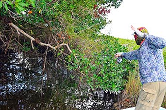 Ascension Bay Mexico Fly Fishing Lodge