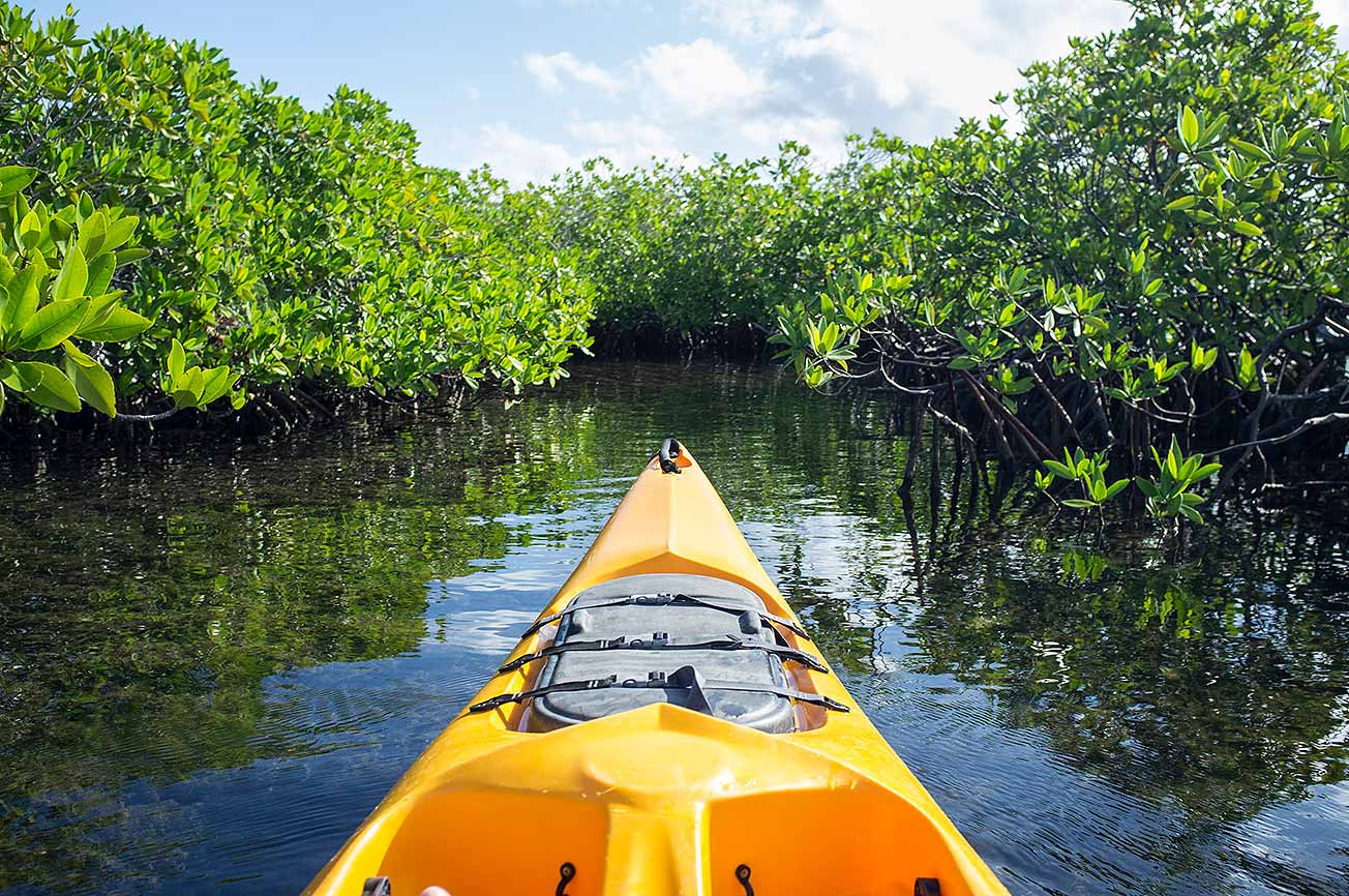 Punta Allen Kayaking Eco-Tours Sian Ka'an